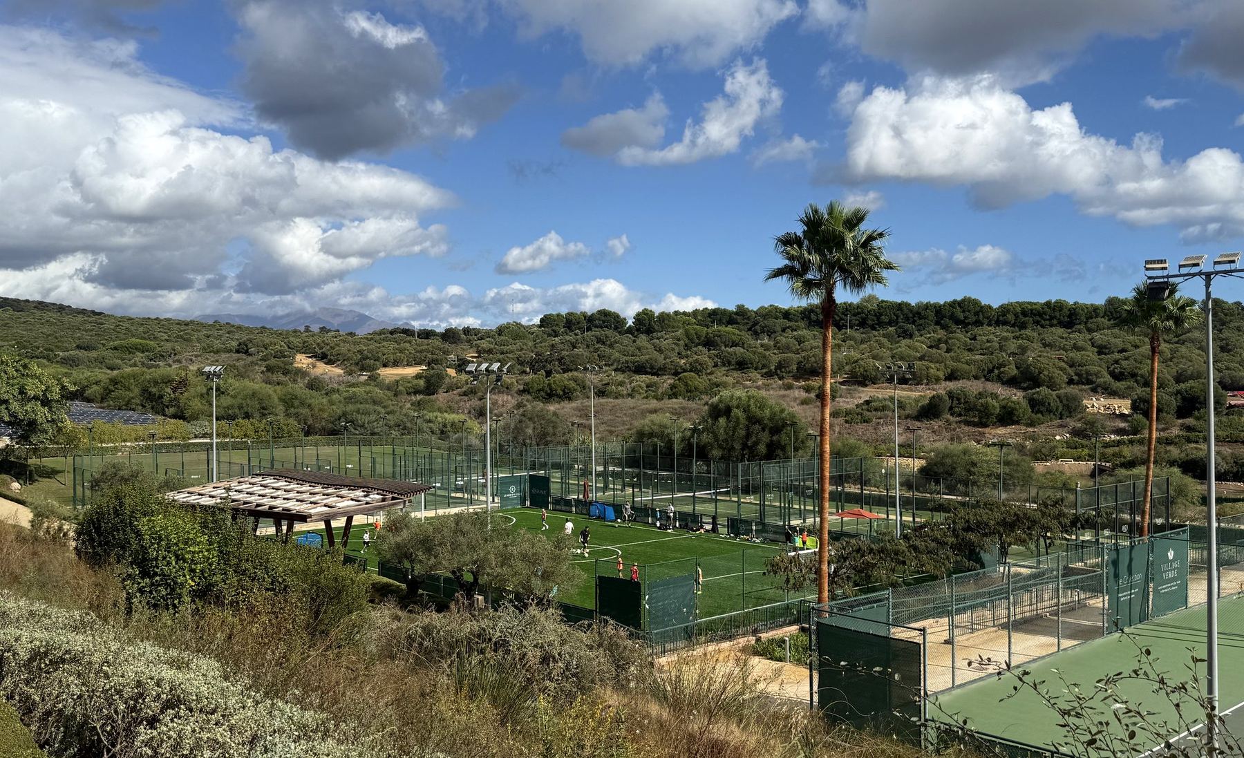 The football pitch at La Reserva Club, Sotogrande, with palm trees, olive groves and the mountains beyond.